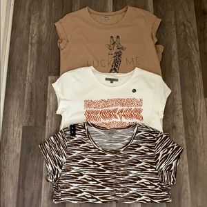 Safari T-Shirts bundle